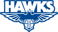 Perry Lakes Hawks